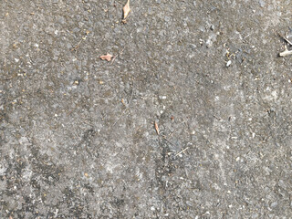 Close-up of Wet Asphalt Road Surface with Debris