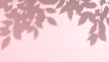 Soft shadows of leaves on a light pink background