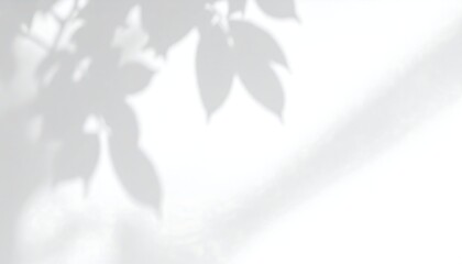 Soft shadows of leaves on a white surface