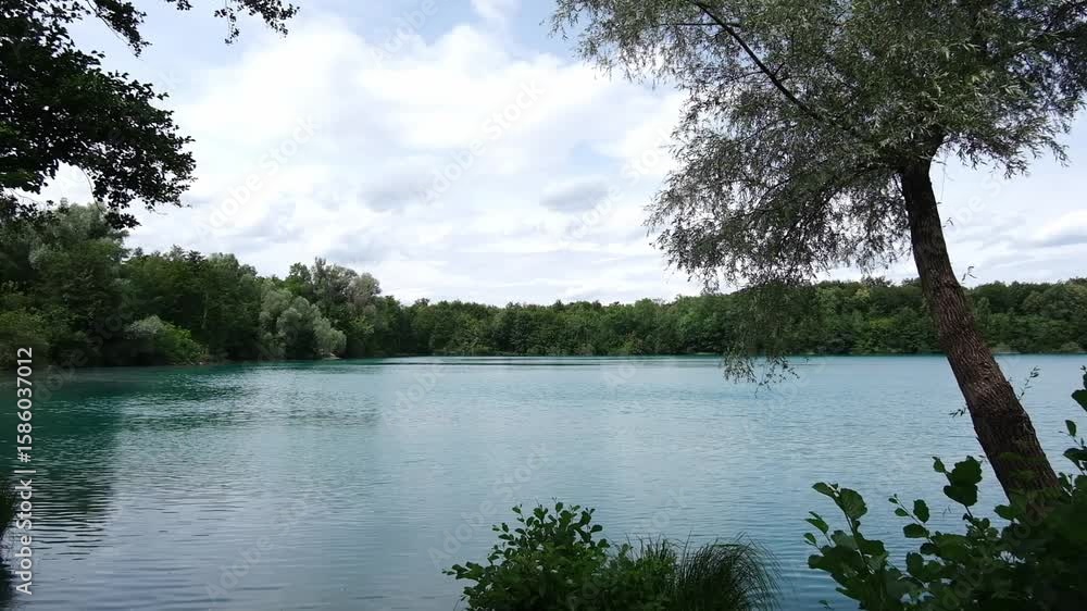 Poster lake with a tree in the background
