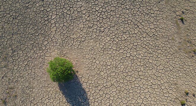 editorial from drones of cracked soil and small plants, the top of the empty sky for photocopying, modern environmental campaigns