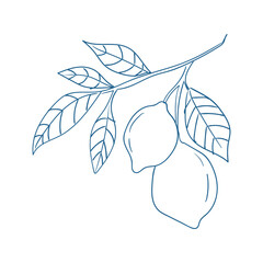 Lemons hanging on a branch with green leaves in a minimalistic style representing freshness and nature