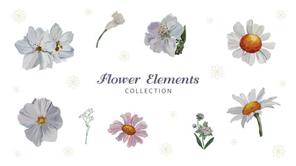 Floral watercolor botanical vector illustration set perfect for branding and decoration