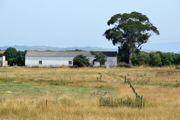 Paisaje típico del Alentejo en Portugal