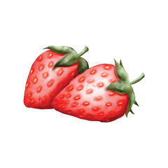 Watercolor Strawberries Pair vector illustration