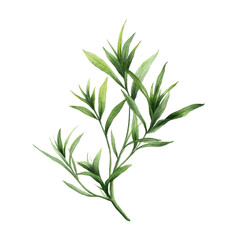Fototapeta premium Lush green leaf branch, natural illustration: showcasing the elegance of a meticulously rendered, singular plant branch, bursting with vibrant life and botanical beauty.