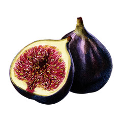 Fig Delights: A captivating still-life showcases the exquisite detail of ripe figs. One halved, revealing its lush interior, while the other sits whole.