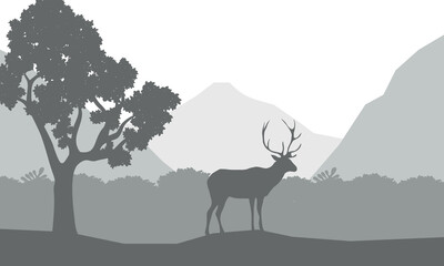 Silhouette of a deer with a natural view