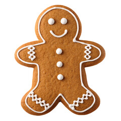Fototapeta premium Gingerbread cookie decorated with icing for festive celebration