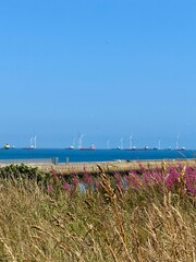 Many ships can be seen afar in the sea in Greyhope Bay, Aberdeen