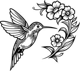 Hand drawn hummingbird in flight with detailed blooming floral branch isolated on white background illustration