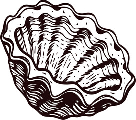 Hand drawn giant clam seashell isolated on white background vintage engraved marine mollusk illustration