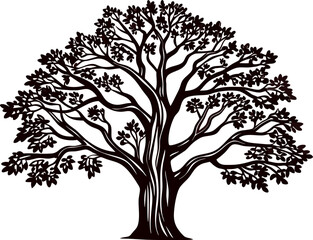 Fototapeta premium Detailed silhouette illustration of a large mature oak tree with wide branches and dense foliage
