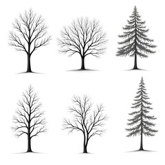 Fototapeta premium Set Of Tree Silhouettes With Bare Branches And Evergreen Pine Trees