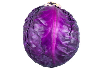 Vibrant purple cabbage. Isolated object.