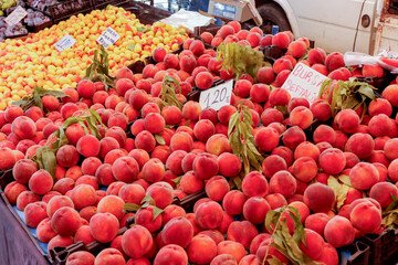 peaches, apricots, plums on sale at a local farmers market