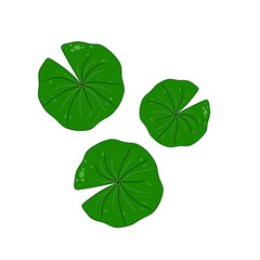  Watercolor Overlapping Lotus Leaves