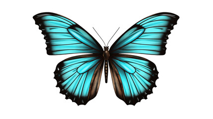 Obraz premium Gorgeous butterfly exhibits stunning blue wings against a transparent backdrop.