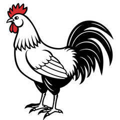 Standing Rooster Vector Illustration