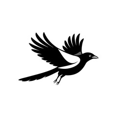 vector illustration of a bird