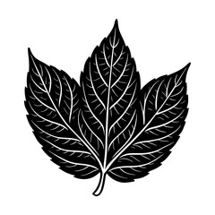 Fototapeta premium Black and white leaf vector illustration for graphic design and nature related projects design element