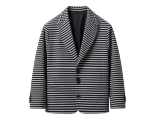 Striped Blazer Jacket