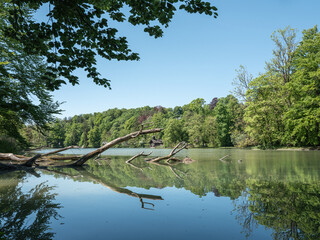 View on the lake with a wooden cottage and the forest