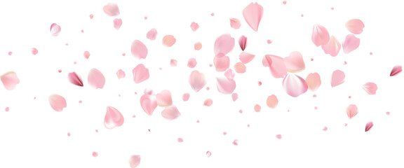 Tender spring pink flower flow. Delicate scent of woman perfume