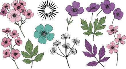 Vintage wildflowers, botanical flower illustration, floral hand drawn clipart, aesthetic nature design, watercolor leaves, rustic meadow elements, wild plant graphic