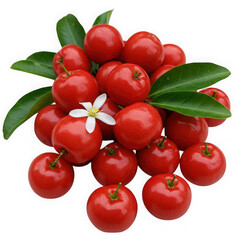 Vibrant red acerola cherries with green leaves and a delicate white flower isolated on transparent background