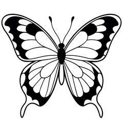  Butterfly vector illustration.
