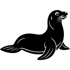 Black sea lion resting on white marine mammal animal