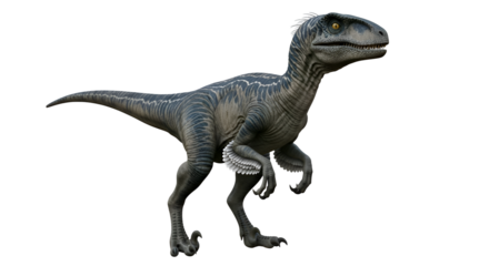 Raptor Dinosaur:  3D Model with Transparent Background