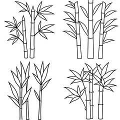 Obraz premium Bamboo Trees Coloring Page – Tall Bamboo Plant Outline for Kids and Nature Fun