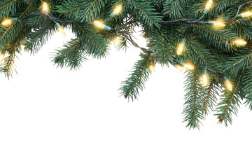 Festive christmas tree branches adorned with warm glowing string lights isolated on transparent background