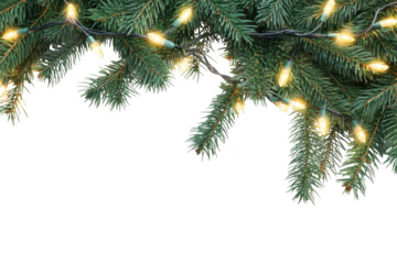 Festive christmas tree branches adorned with warm glowing string lights isolated on transparent background