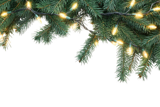 Festive christmas tree branches adorned with warm glowing string lights isolated on transparent background - Powered by Adobe