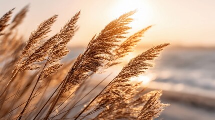 Vibrant Sunset Beach Scene with Tall Reeds and Calm Ocean Waves at Dusk.