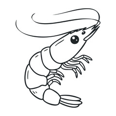 Black and white shrimp drawing with whiskers and detailed body structure. Hand draw vector illustration