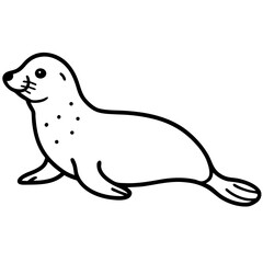Cute Seal Illustration animal marine mammal