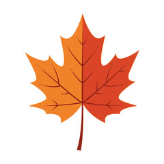 Vector Illustration of Autumn Maple Leaf Isolated on White Background