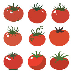Collection of Hand Drawn Tomato Icons Set