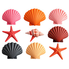 3D assorted seashell collection on white background, high-resolution glossy summer beach decorative prop PNG 