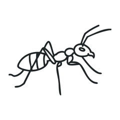 Simple line drawing of an ant illustration on white background. Outline vector illustration