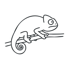Simple black and white chameleon line drawing on branch. Outline vector illustration