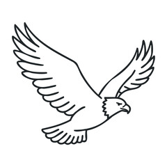 Fototapeta premium Line drawing of flying eagle with outstretched wings in black and white style. Outline vector illustration