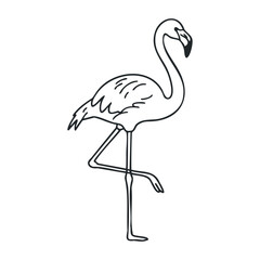 Elegant flamingo outline standing on one leg in minimalist design. Outline vector illustration