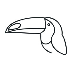 Toucan outline drawing with large beak on white background. Outline vector illustration
