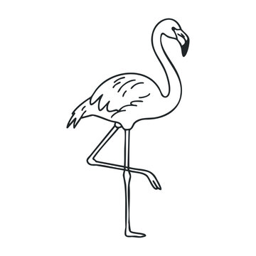 Elegant flamingo outline standing on one leg in minimalist design. Outline vector illustration