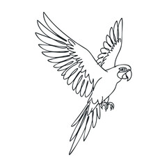 Obraz premium Flying parrot outline with extended wings in mid-air on white background. Outline vector illustration